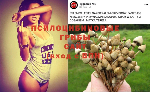 альфа пвп Ладушкин